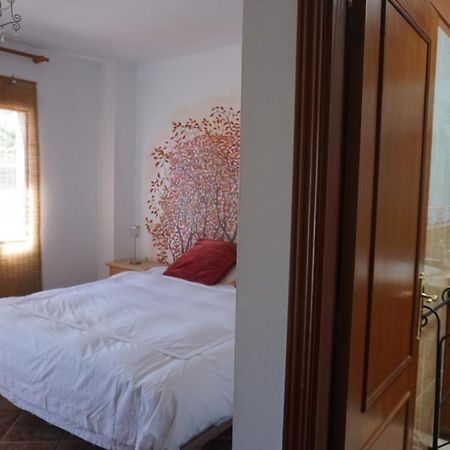 Casa Colores Tenerife Guesthouse Candelaria Exterior photo